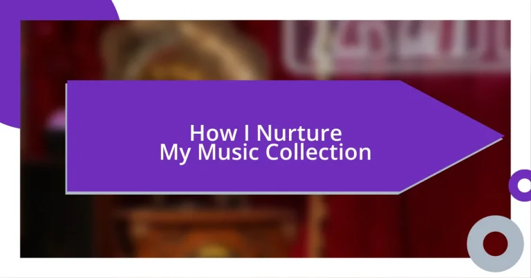 How I Nurture My Music Collection