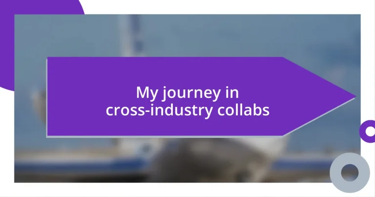 My journey in cross-industry collabs